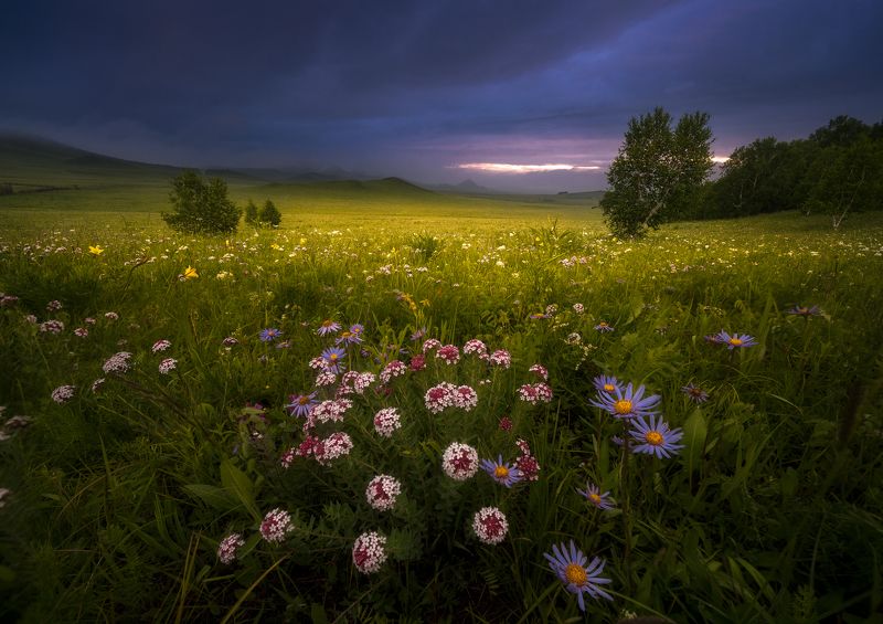 фото превью