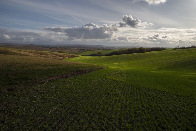 моя маленькая Родина... фото превью