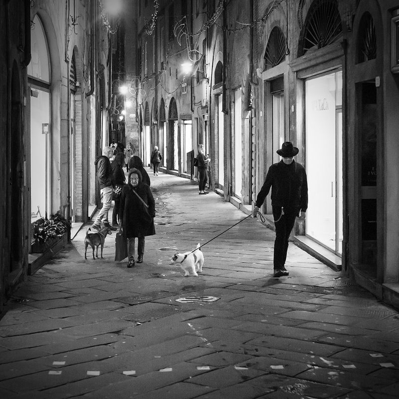 Lucca фото превью
