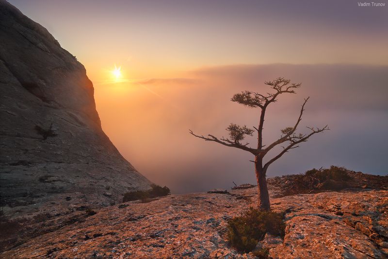 крым, новый свет Встречая рассвет фото превью