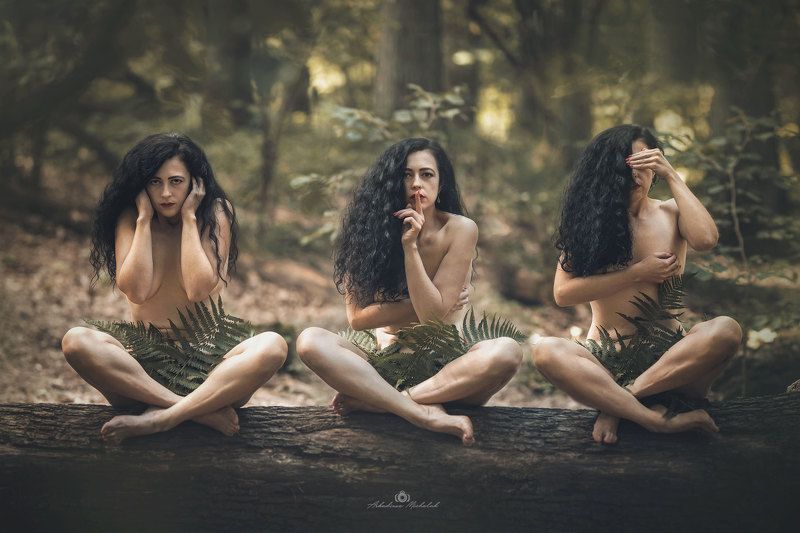 фото превью