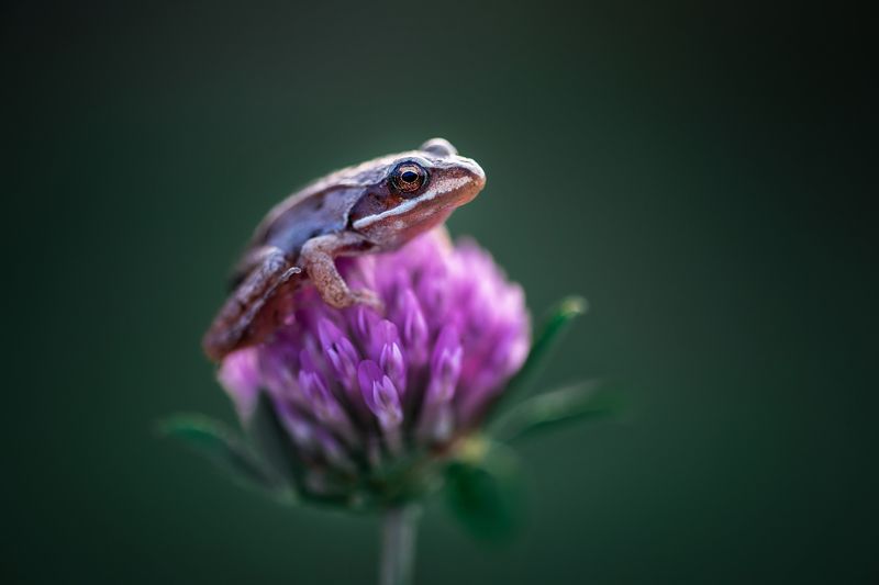 В тишине... фото превью