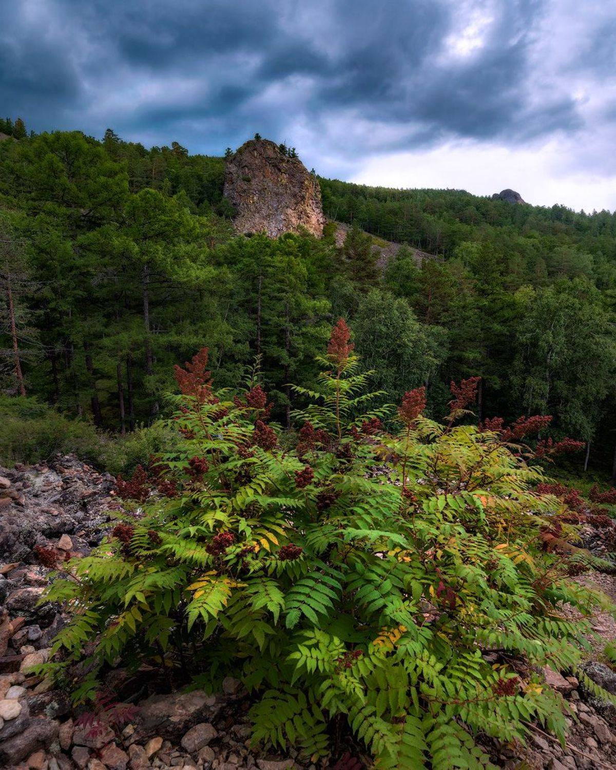 , Сергей Брагин