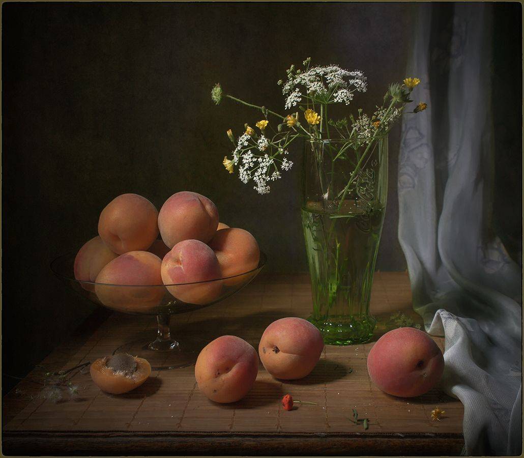 , Stein Georg