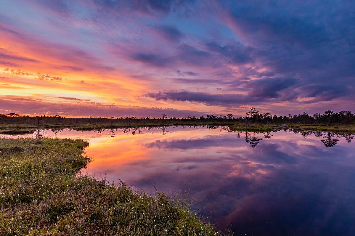, Александр Абросимов