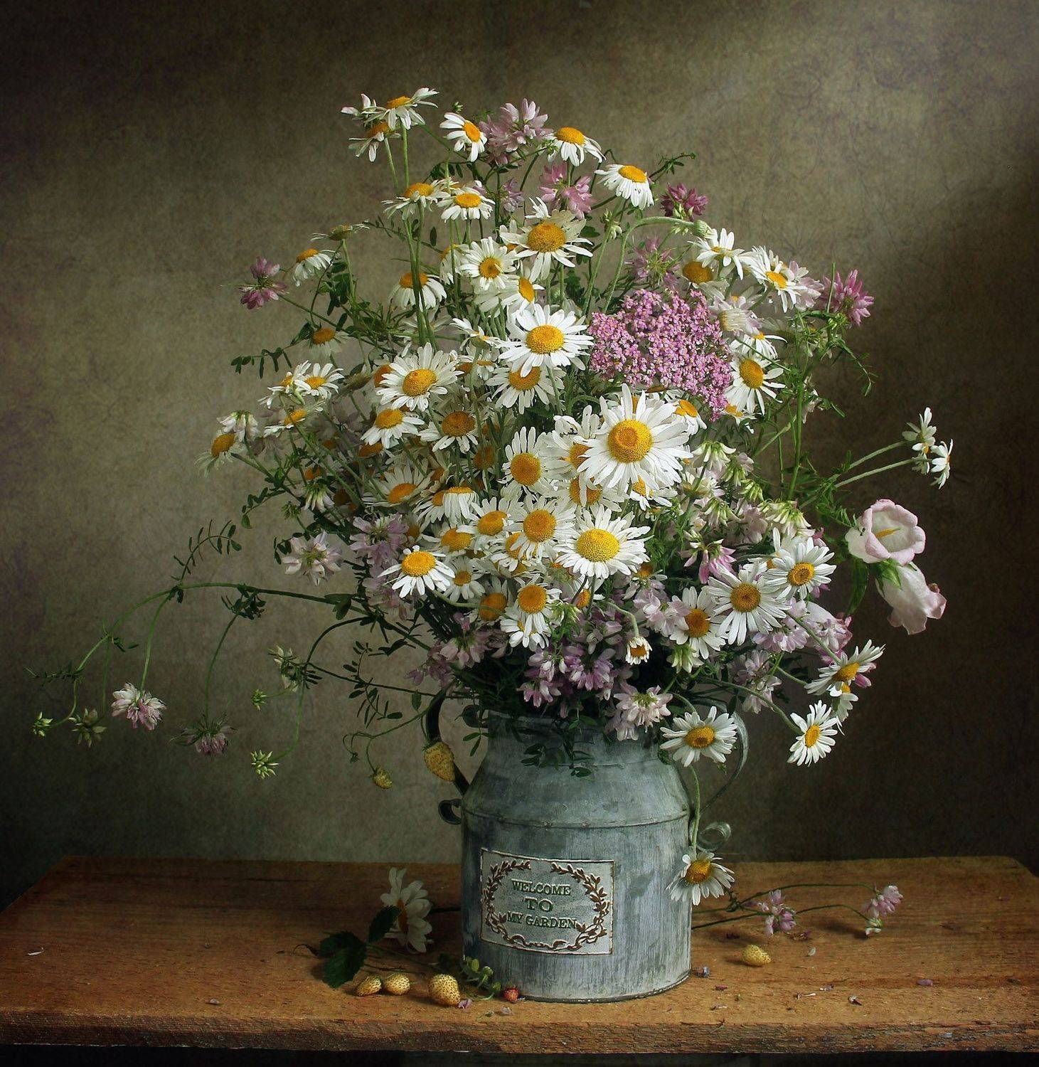 лето,  цветы, натюрморт, марина филатова, ромашки, Марина Филатова