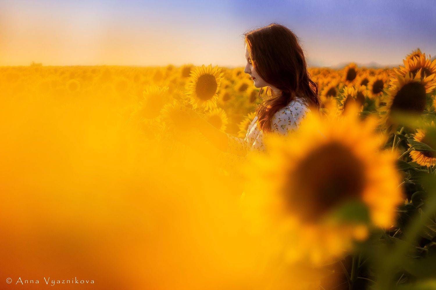 фотограф Лисичанск, семейный фотограф, детский фотограф, индивидуальная фотосессия, портрет, фотограф Северодонецк, фотосессия на природе, фотосессия в подсолнухах,, Анна Вязникова