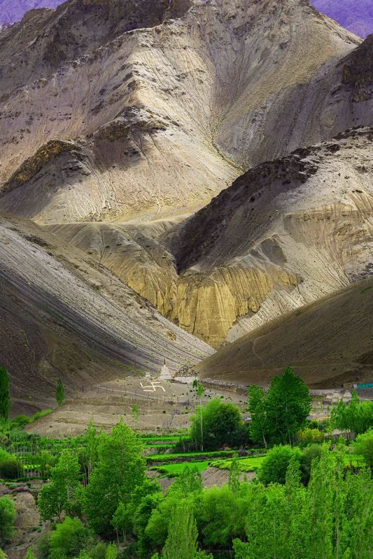 Shades of Himalaya фото превью