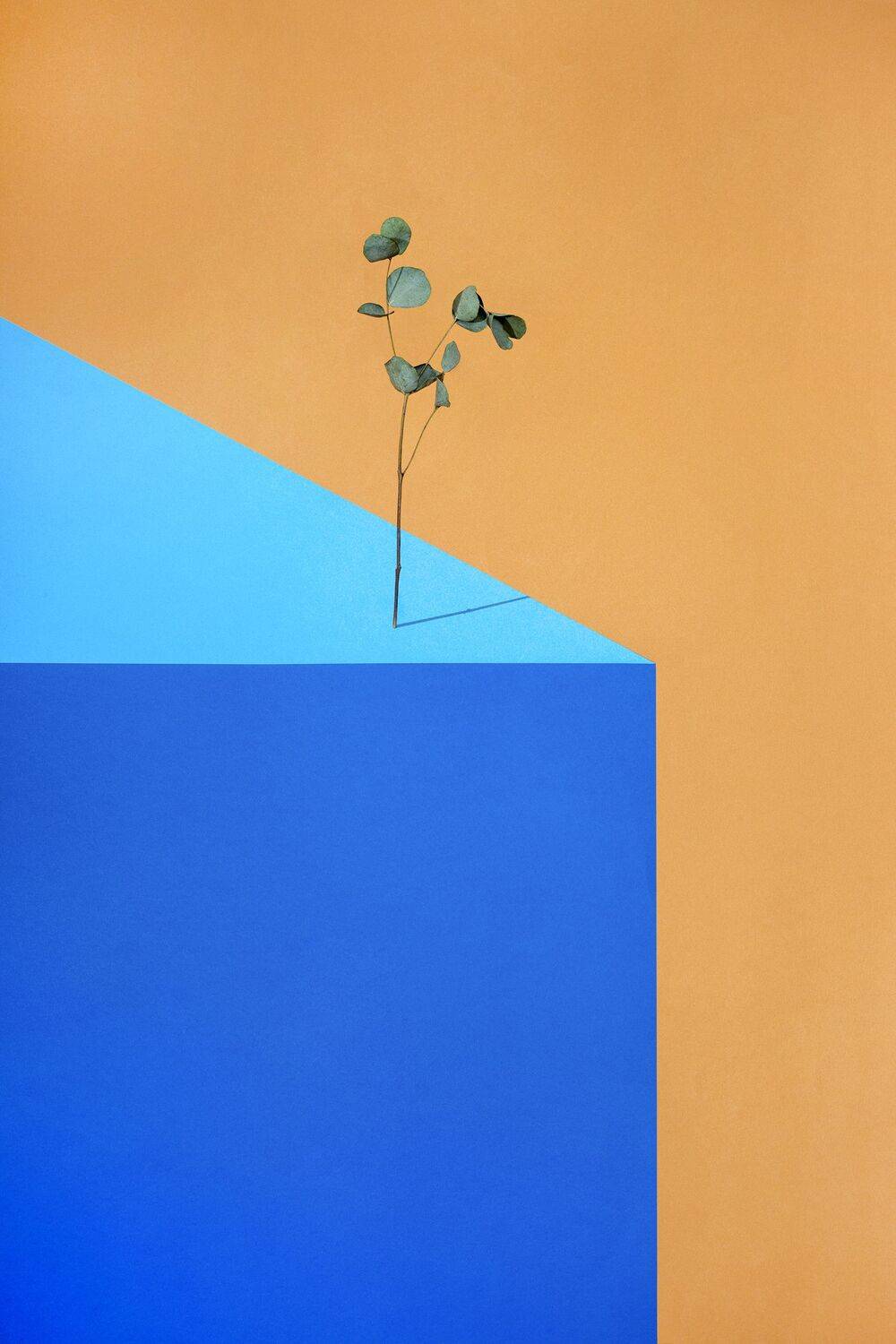 минимализм, Валентин Иванцов