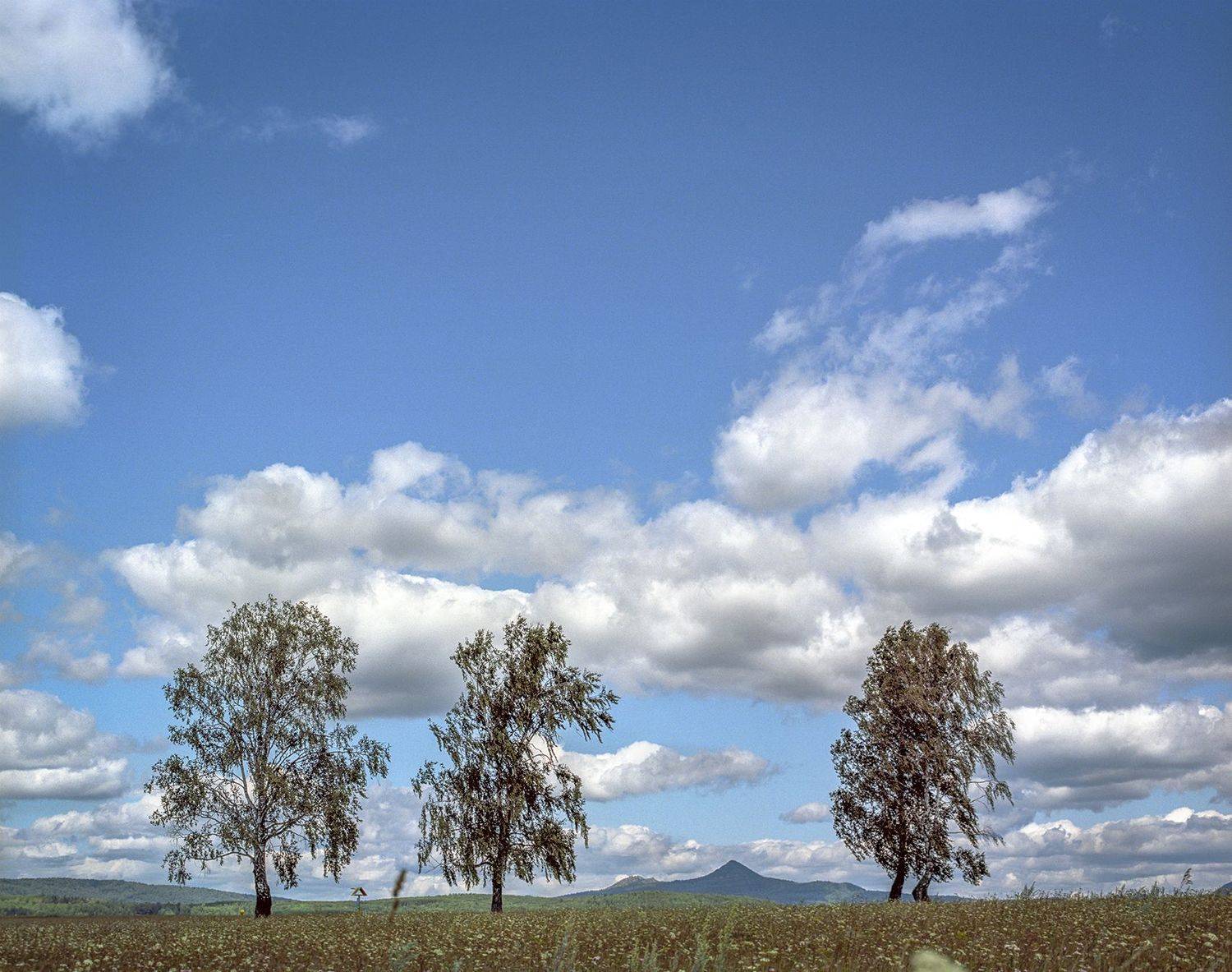 урал mamiya rb67 kodak portra160, Денис Храмеев