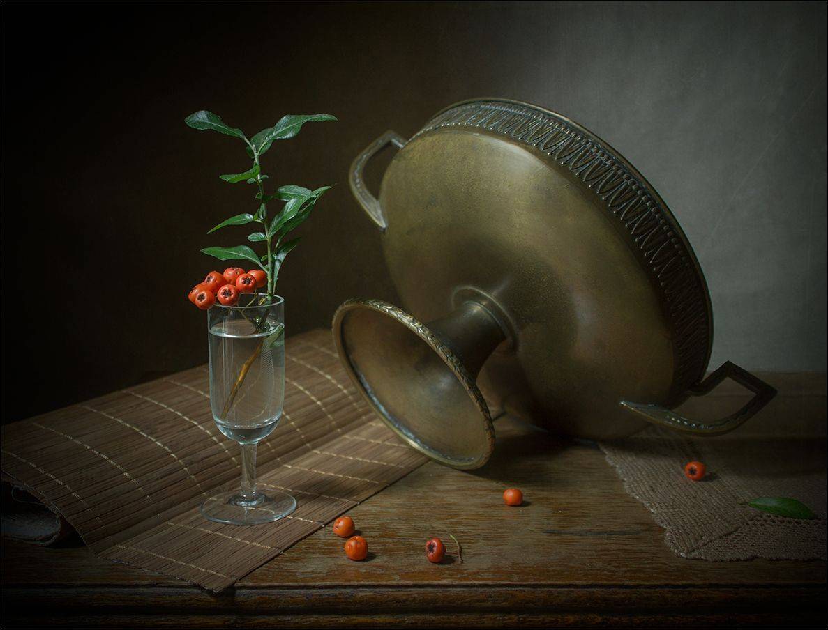 Красота простых вещей. Автор: Stein Georg , Stein Georg