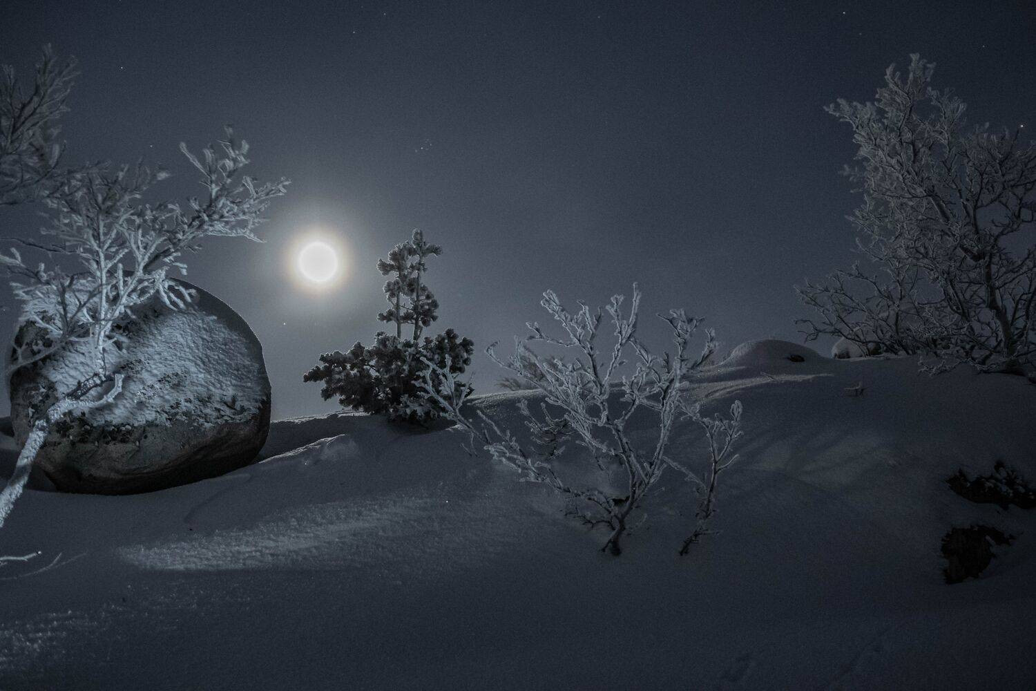 , Sergey Kaverin