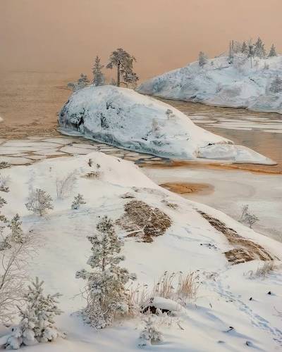 Цветной туман