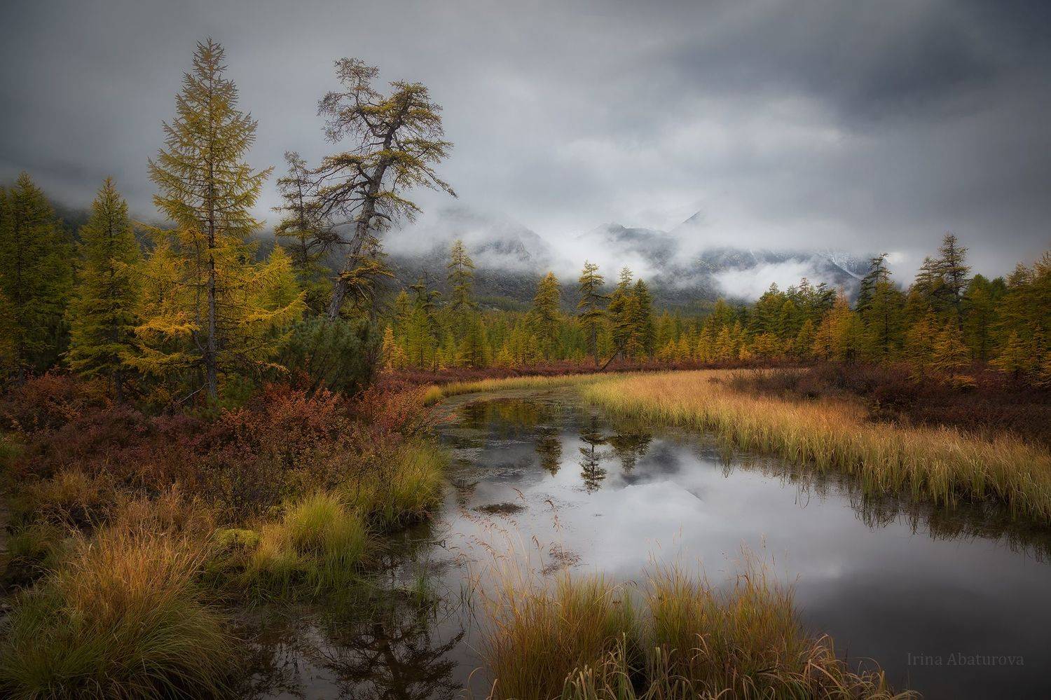 Колыма, Магадан, озеро Джека Лондона, осень, туман, Ирина Абатурова