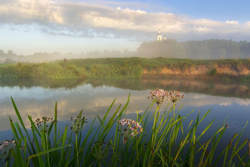 Прекрасное туманное утро в Филипповском фото превью