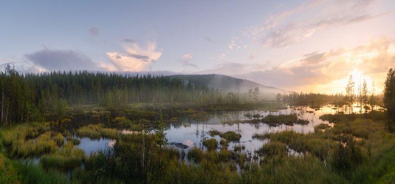 Закат на северных болотах фото превью