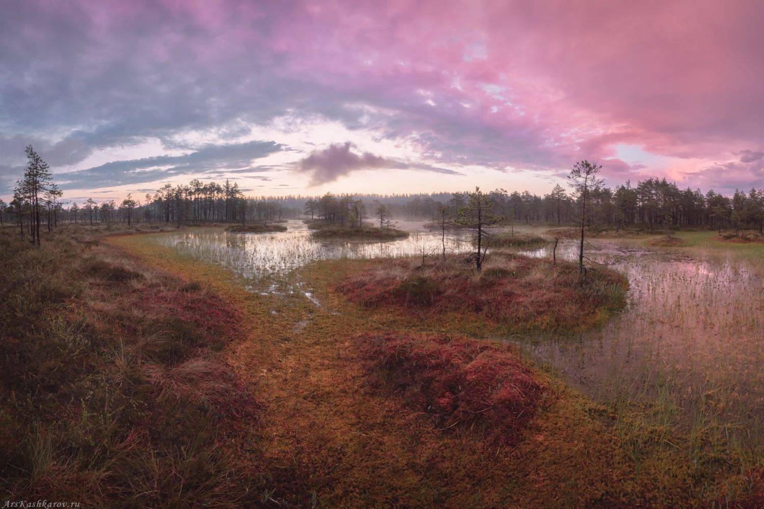 болото, ленобласть, ленинградская область, восход, рассвет, болотные топи, фототур, Арсений Кашкаров