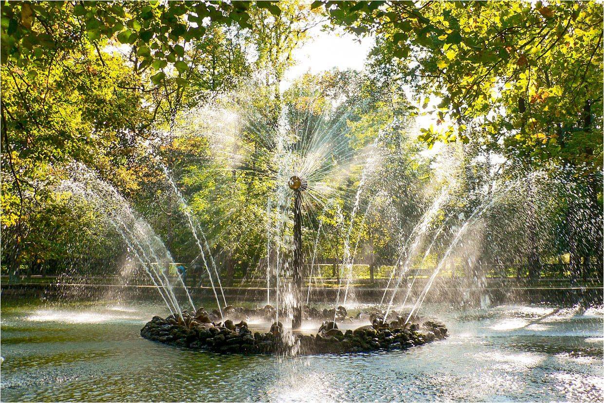 петергоф, фонтан, солнце, КарОл
