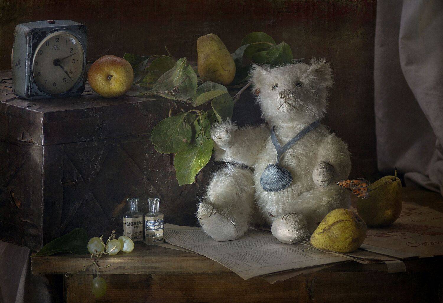 , Светлана Сушкевич