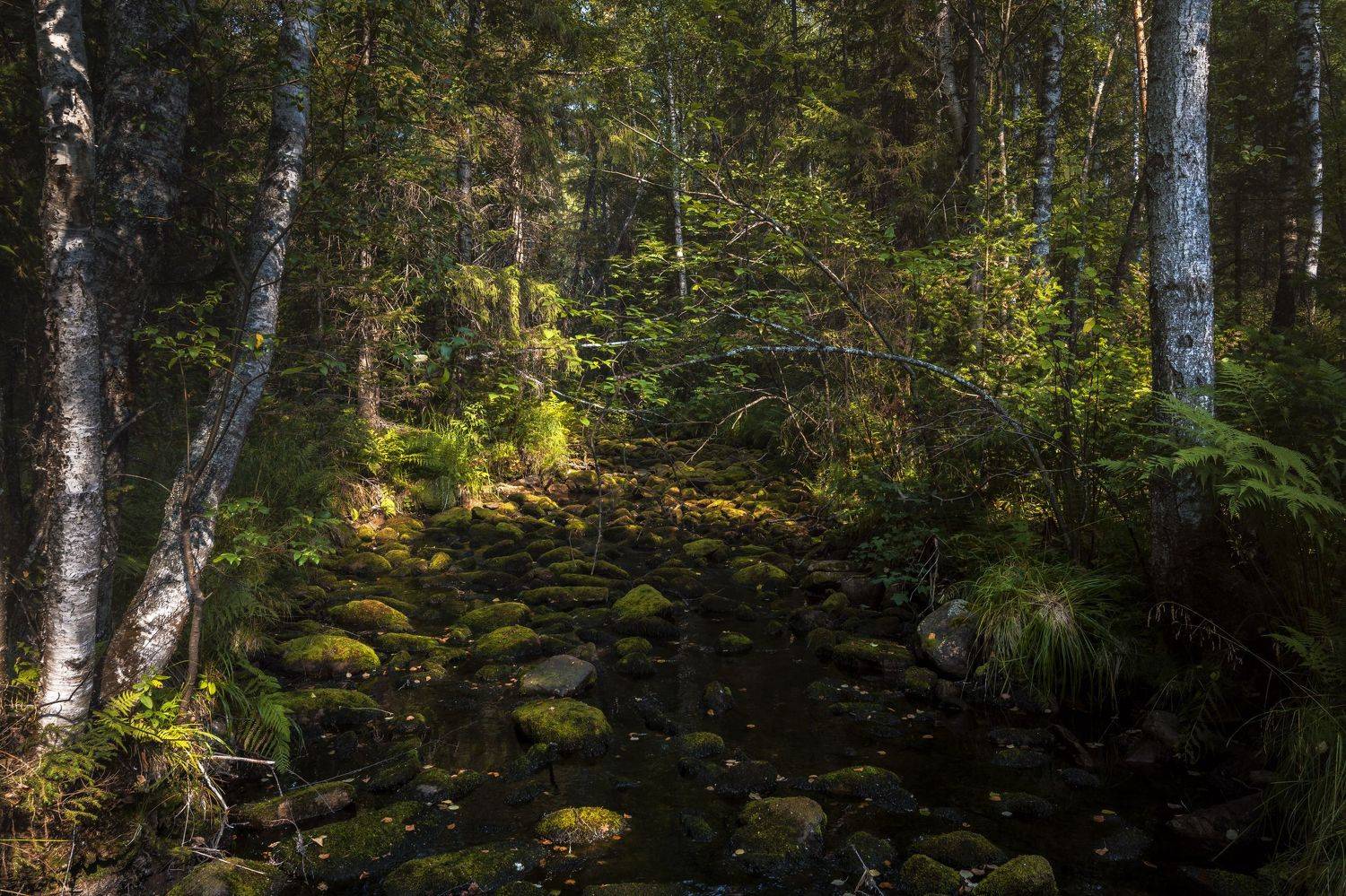 , Андрей Шарапов