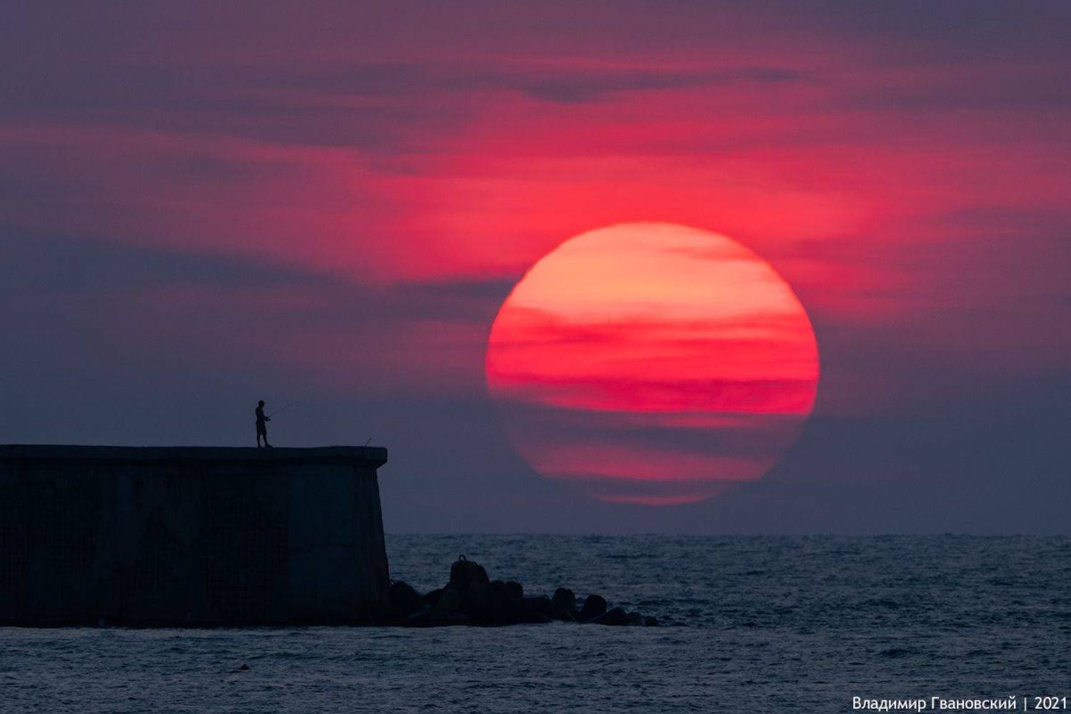 , Гвановский Владимир