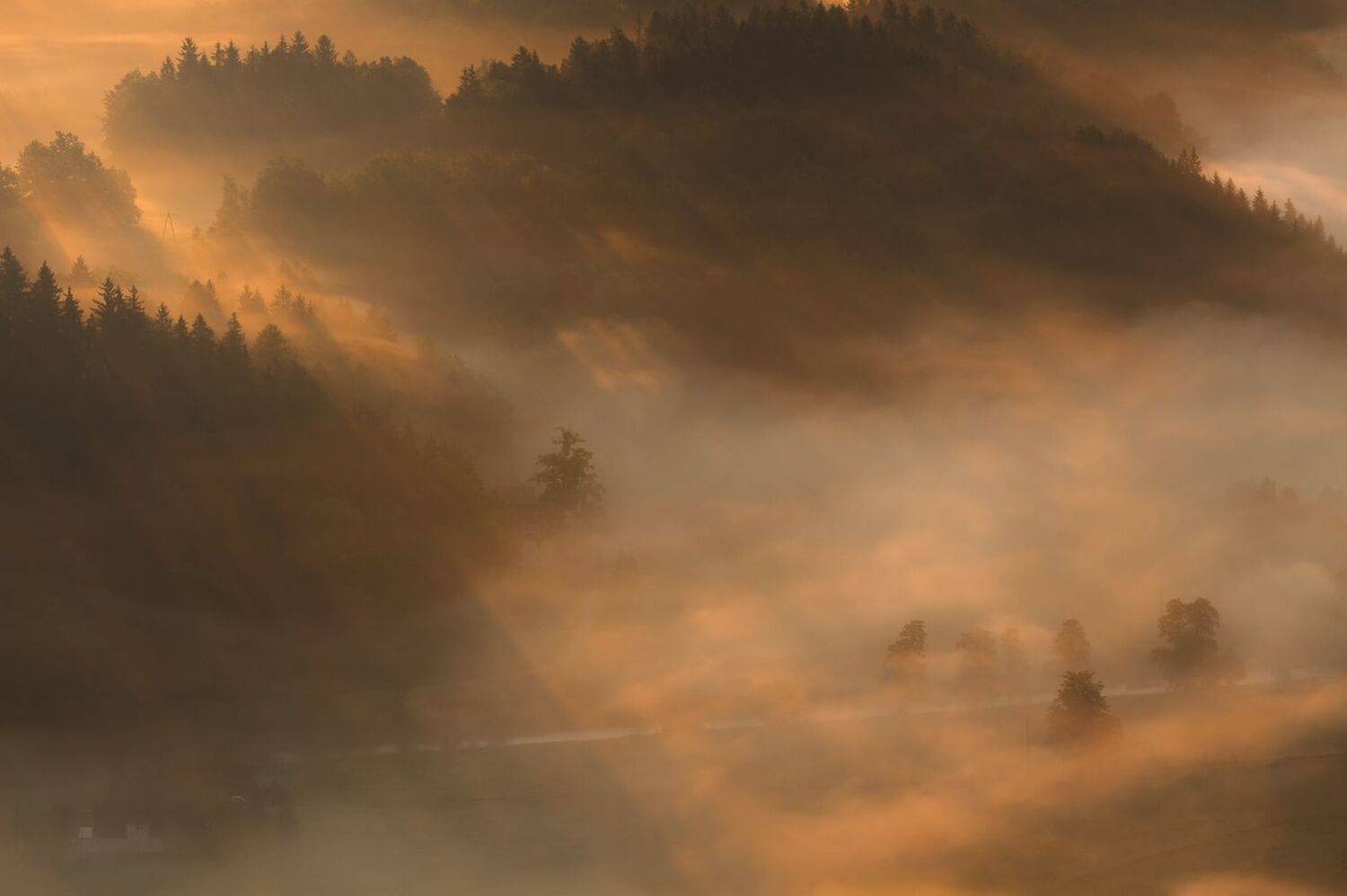 landscape,spring,mountains,canon, Iza i Darek Mitręga