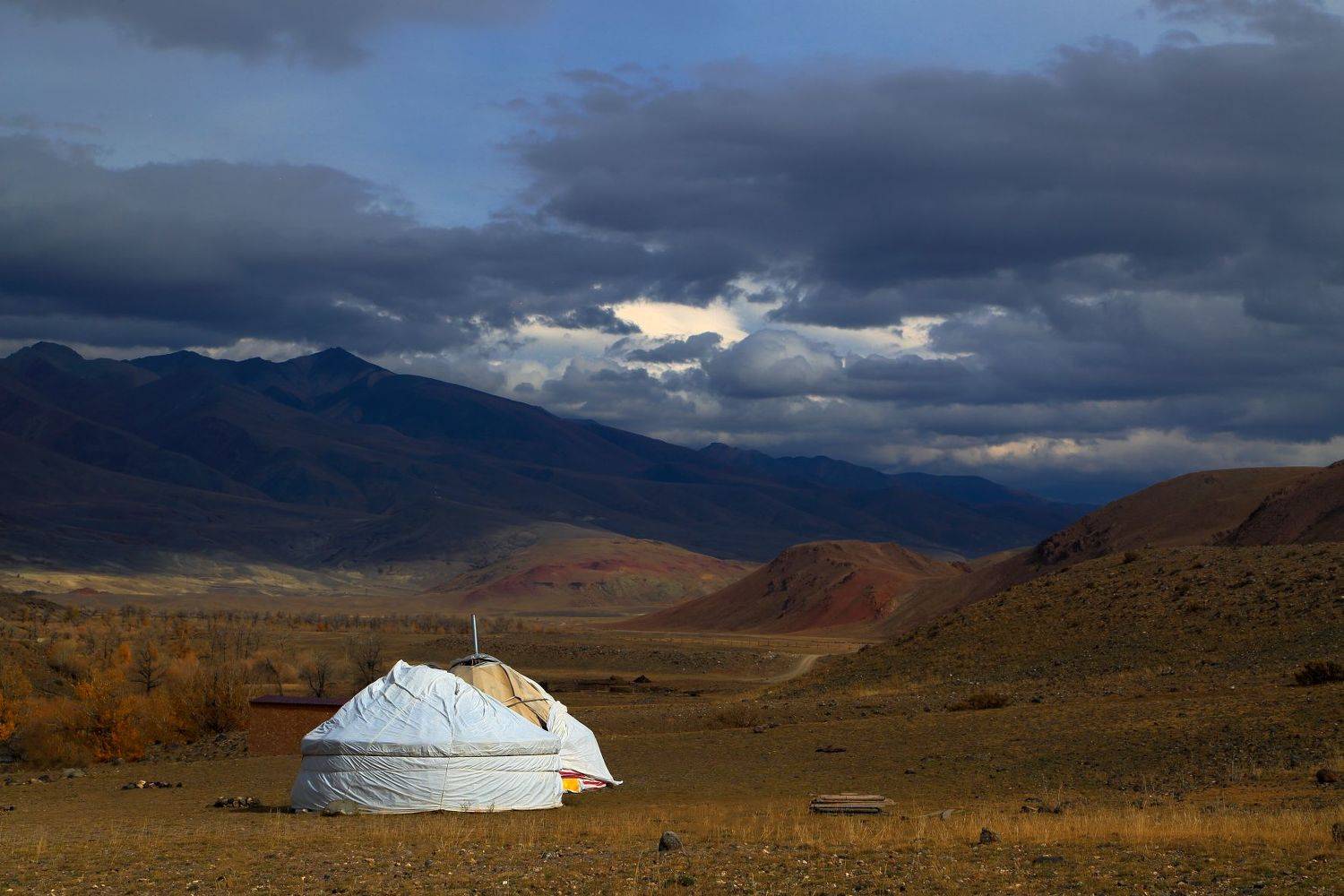 , Евгений Зинов