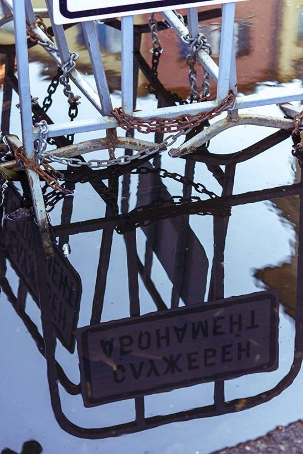 ,  Светослав Радков