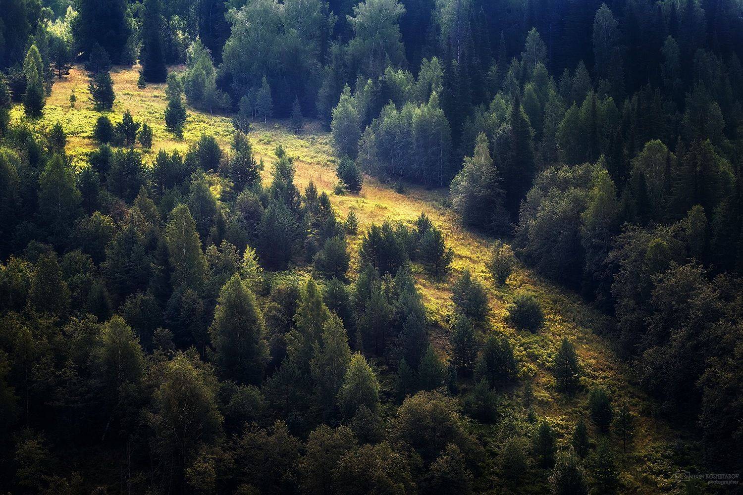 , Антон Кошетаров