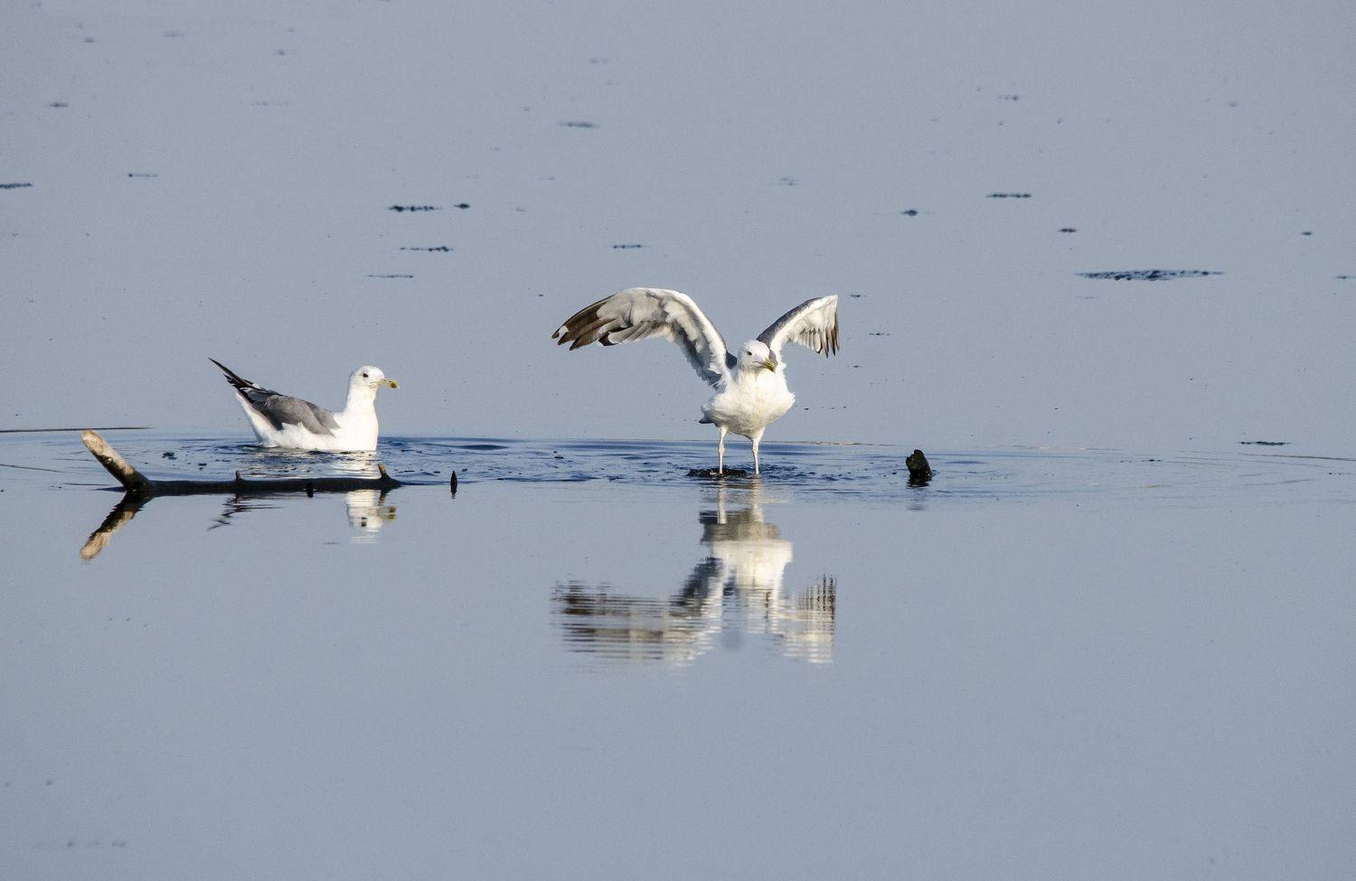 , Ольга Лукахина