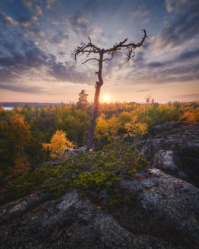 Ладожская осень