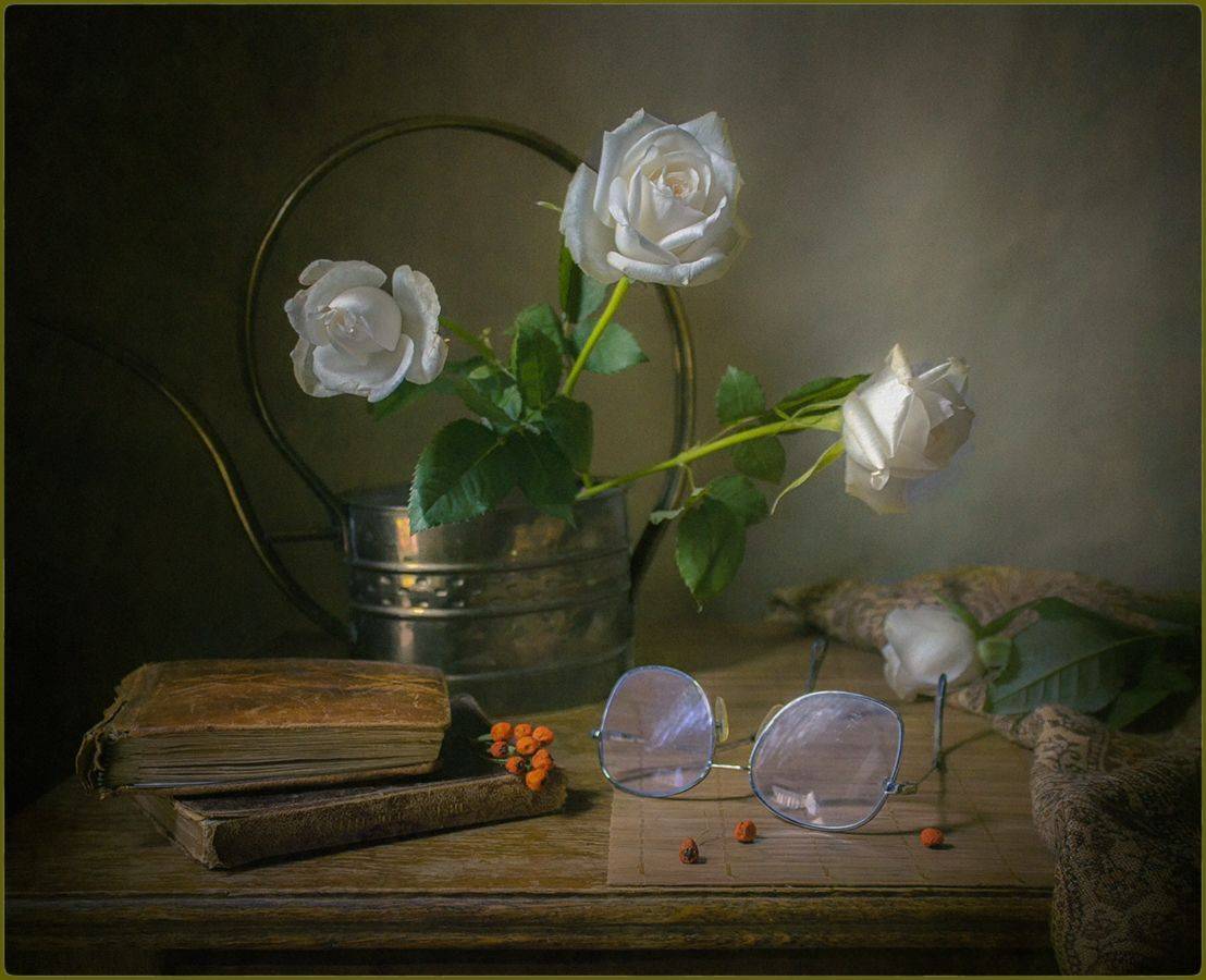 , Stein Georg