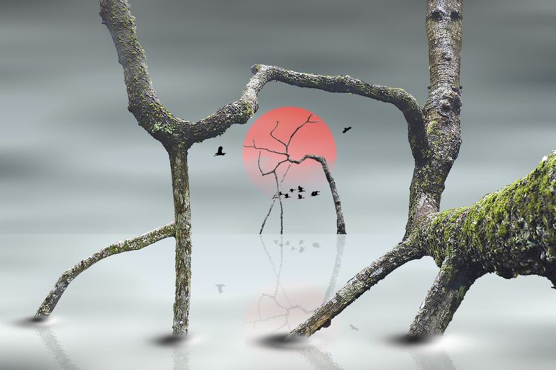 Life Under The Dancing Trees фото превью