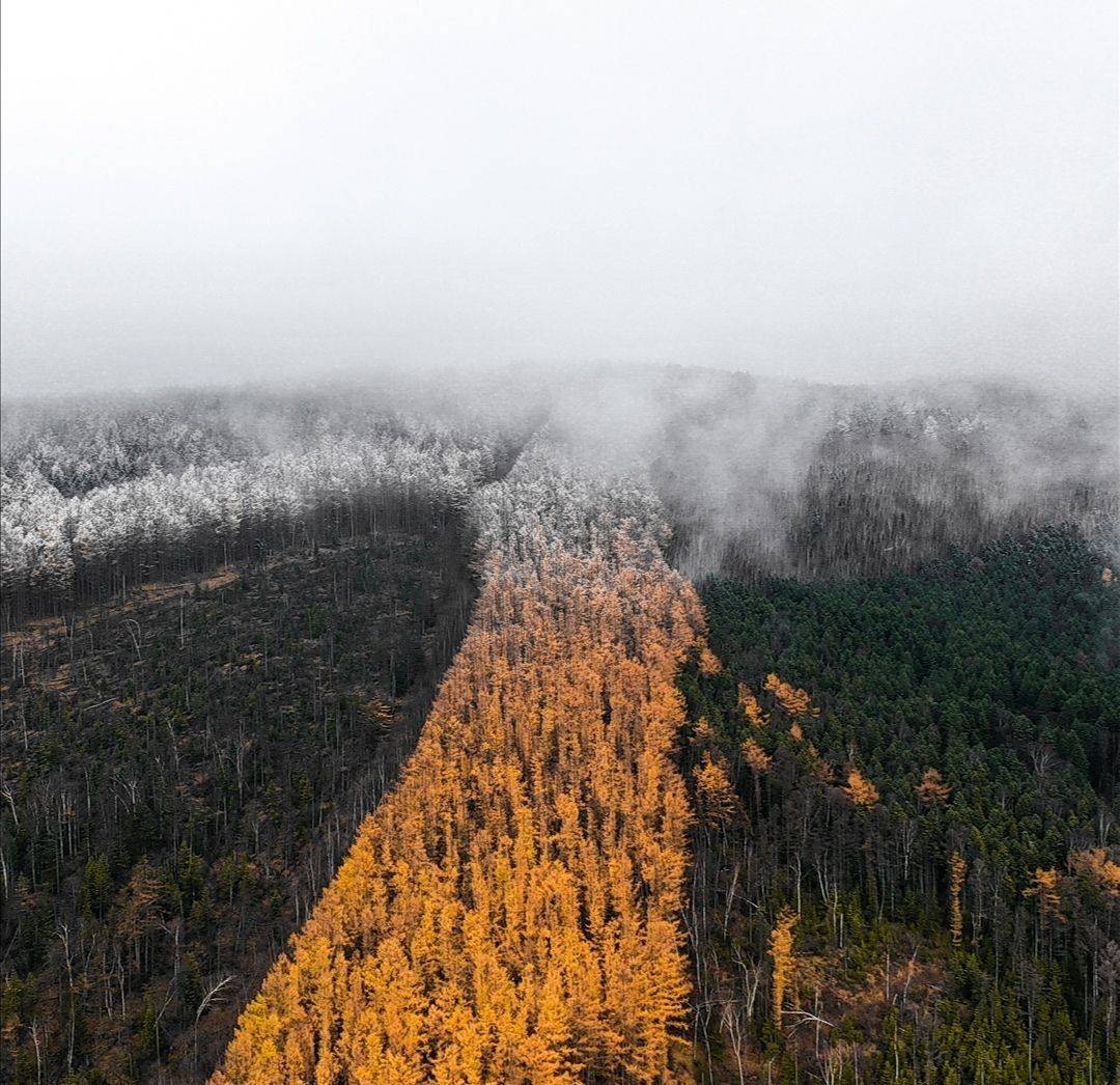 Снег, Игорь Дудковский