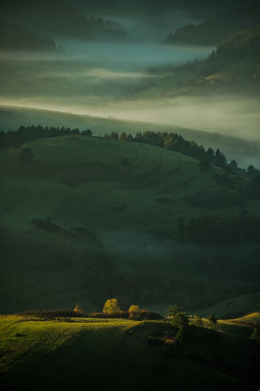 Sunrise фото превью