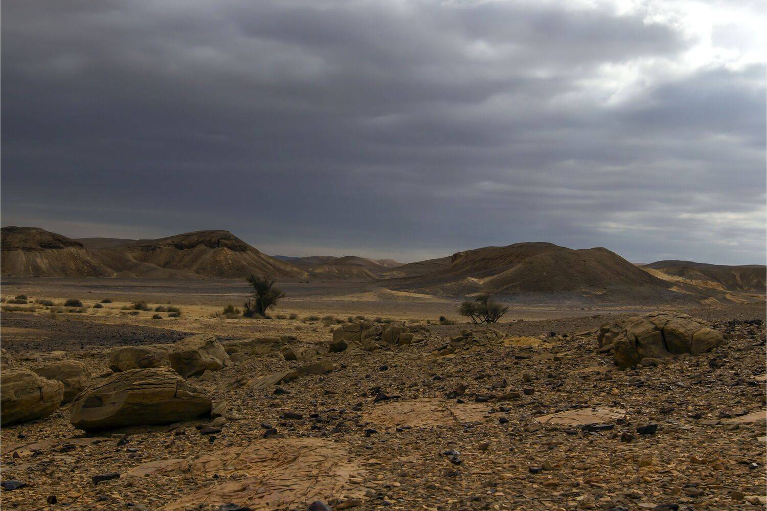 , Валентина Булкина