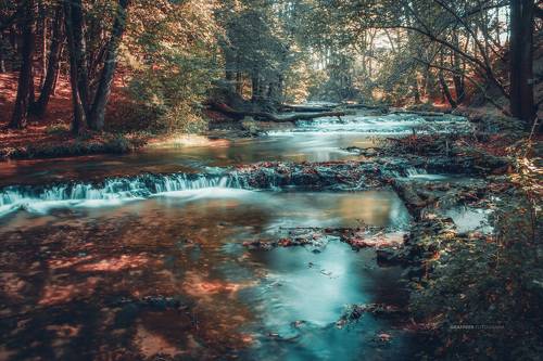 nature reserve...