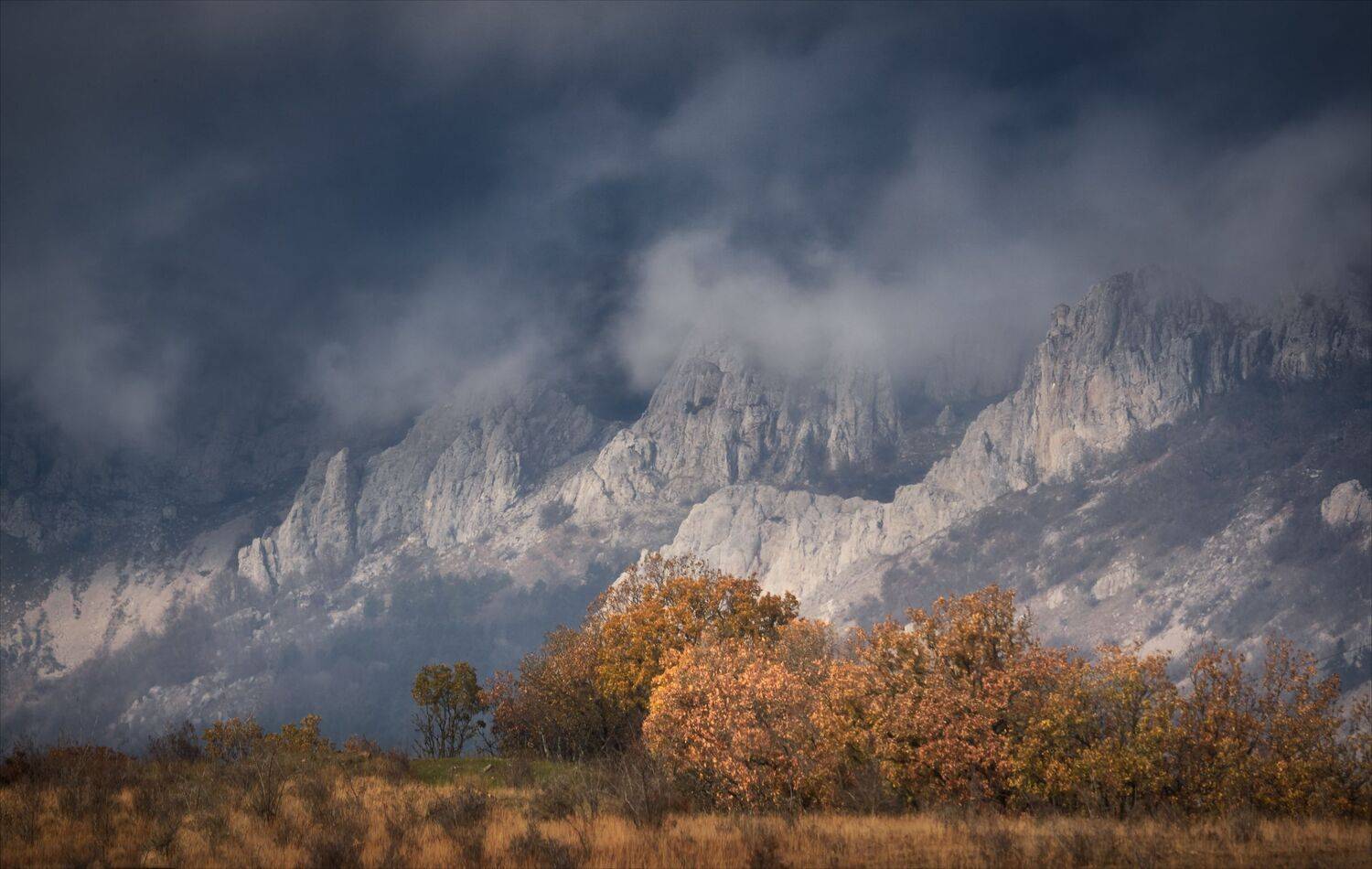 , Алексей Богорянов