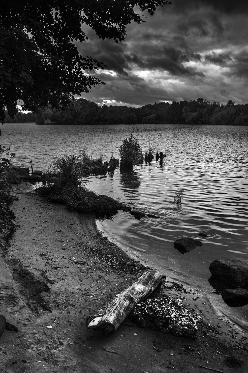 , Алексей Егоров