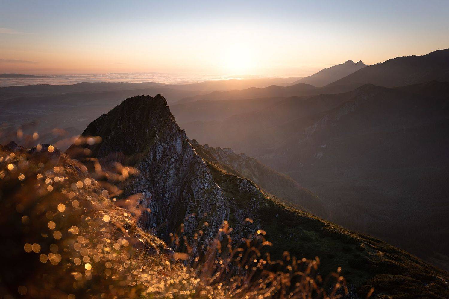 mountains, summer, poland, sunrise, Michał Kasperczyk