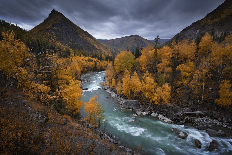 Алтай, Чуя, золотая осень, река, горы Пасмурный осенний день фото превью