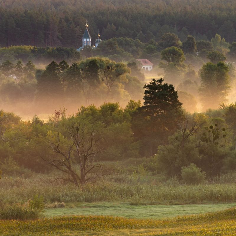 . . . фото превью
