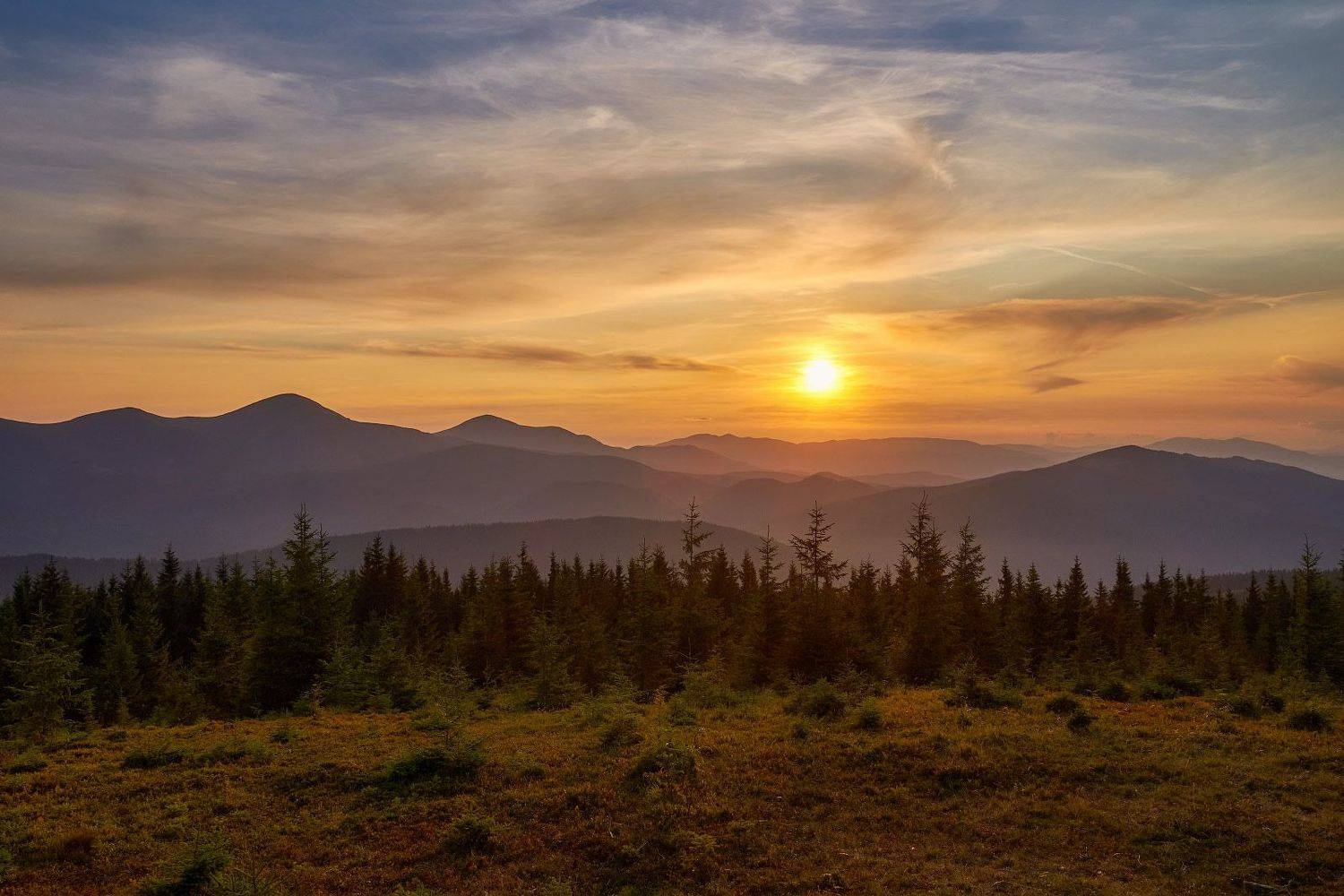 #nature, #туман, #лес, #oсень, #украина, #карпаты, #пейзаж, #закат, #туман, #солнце, #свет, #mountain range, #mountains, #туризм, #лес, #nature, #природа,, Леонид Морозов