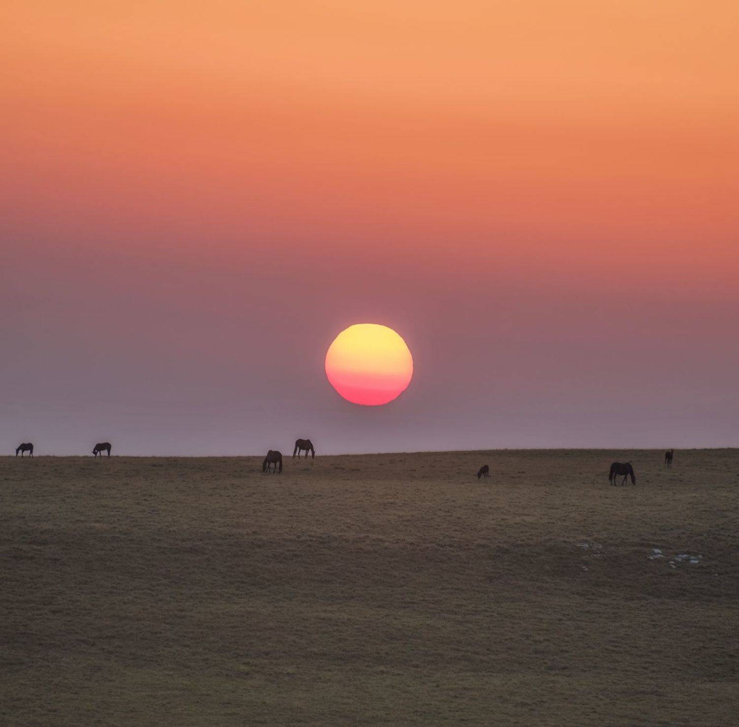 карачаево-черкесия, северный кавказ, бермамыт, рассвет, август, Николай Мысливцев