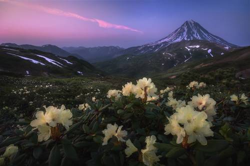 Вечер на перевале