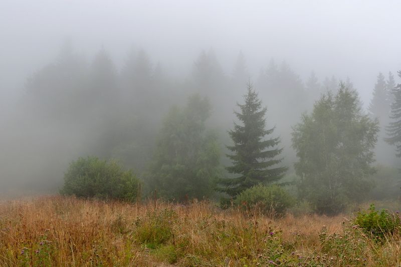 Осень  уже близко... фото превью