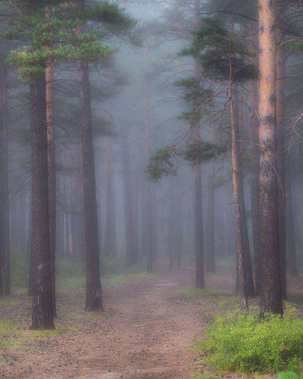 , Сергей Брагин