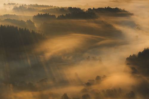 A Beautiful Misty Morning...