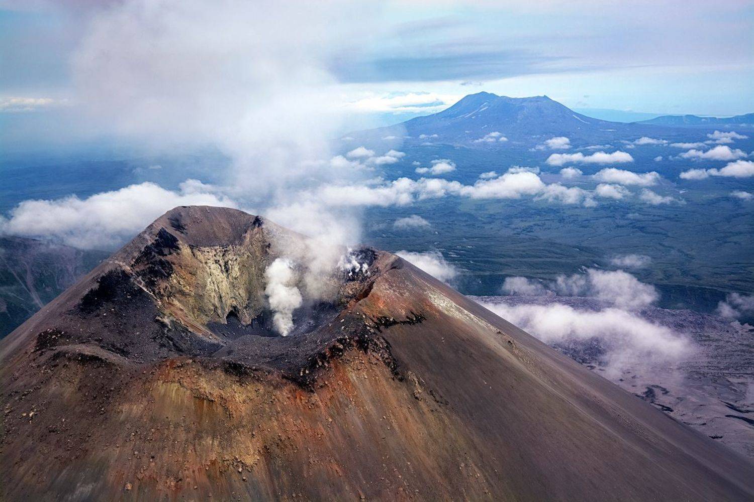 , Марина Никифорова
