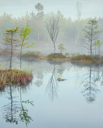 Утренний спектакль